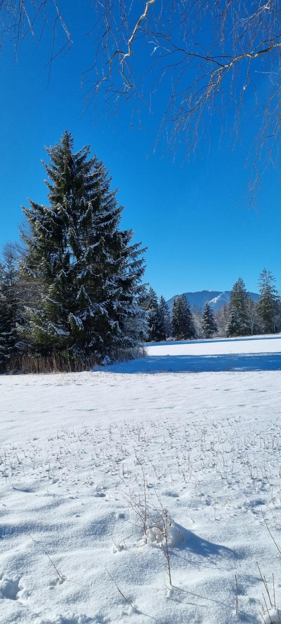 Aparthotel Werdenfels Murnau am Staffelsee Kültér fotó